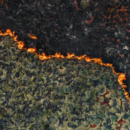 #7 Senators demand crackdown on wildfire "prediction market" bets — Top 10 Ars Technica — Latest — August 5, 2026