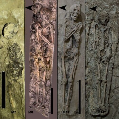 #9 Theban tomb reveals how Egyptian burial trends evolved in time — Top 10 Ars Technica — Latest — August 18, 2026