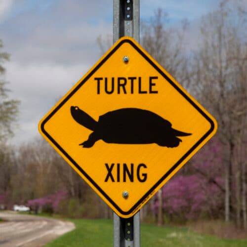 #9 FCC abolishes gigabit speed goal, suggesting it is unfair to slower technologies — Top 10 Ars Technica — Latest — August 20, 2026
