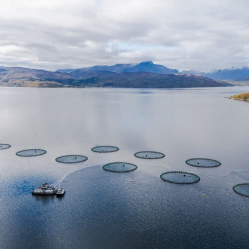 #2 Farmed salmon may not be as nutritious as it once was, new research suggests — Top 10 Ars Technica — Latest — September 6, 2026
