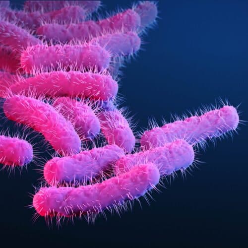 #10 150 research primates got diarrhea, flooding lab with priceless vaccine data — Top 10 Ars Technica — Latest — September 4, 2026