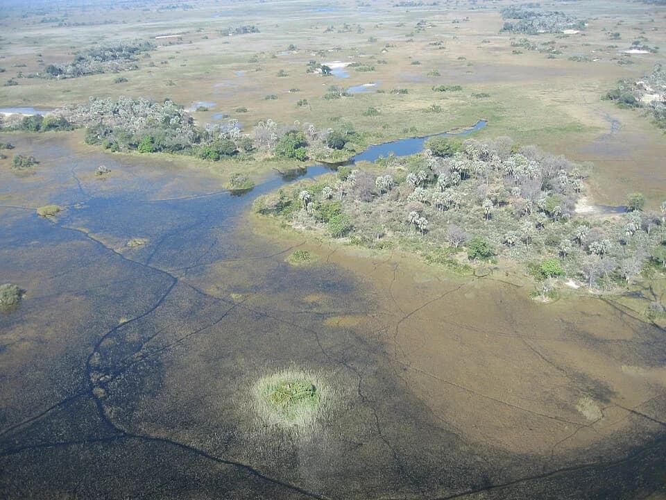 #3 Okavango Delta, Botswana — Top 10 Best Wildlife Safari Destinations