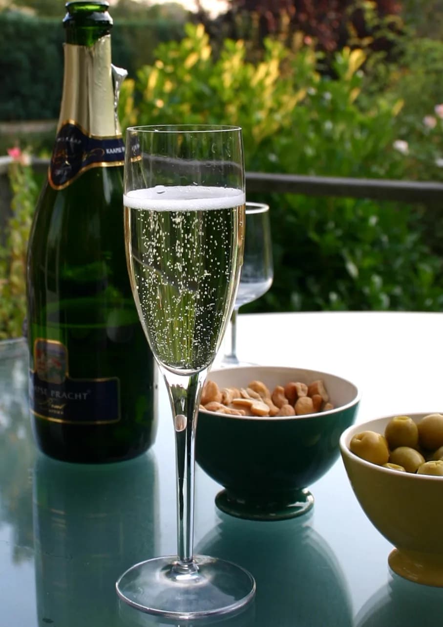 #10 Champagne, France — Top 10 Wine Regions in the World: Ranked by Terroir, History & Prestige