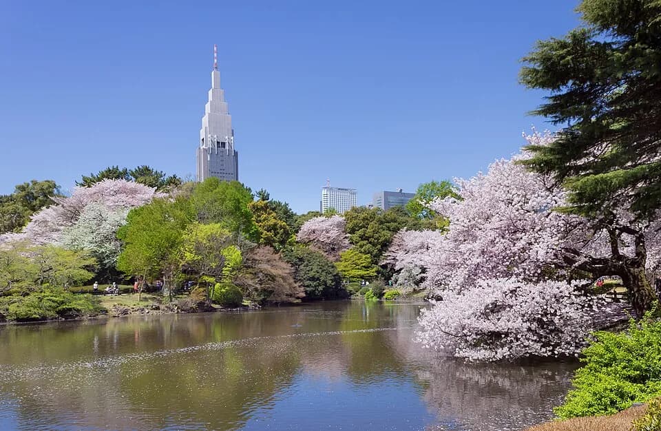 #9 Shinjuku Gyoen National Garden — Top 15 Best Things to Do in Tokyo With Kids (2026 Family Guide)