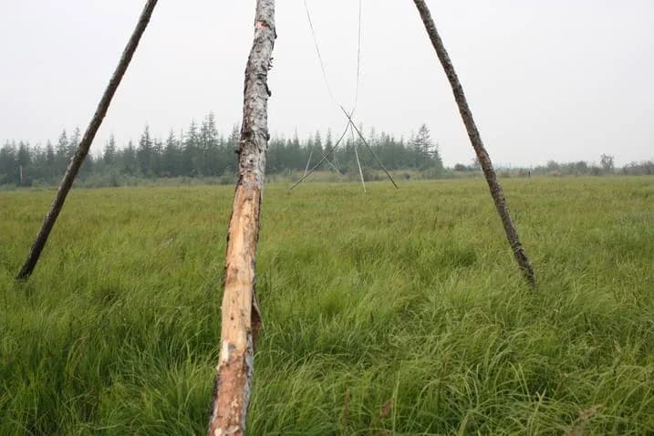 #5 Pleistocene Park, Siberia, Russia — Top 10 Most Polarizing Rewilding Projects in 2026: Controversial Rewilding Cases