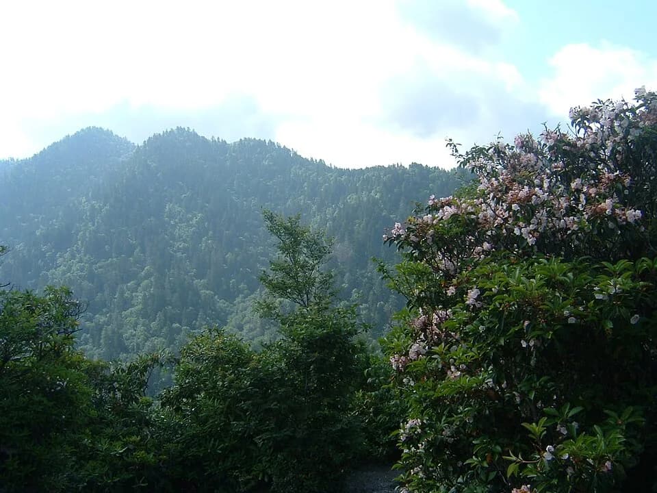 #7 Great Smoky Mountains National Park — Top 10 Most Spectacular National Parks in the USA