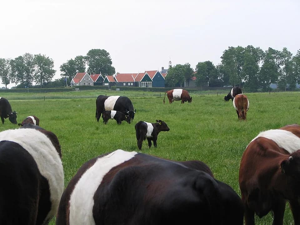 #4 Schokland — Top 10 UNESCO World Heritage Sites in the Netherlands 2026