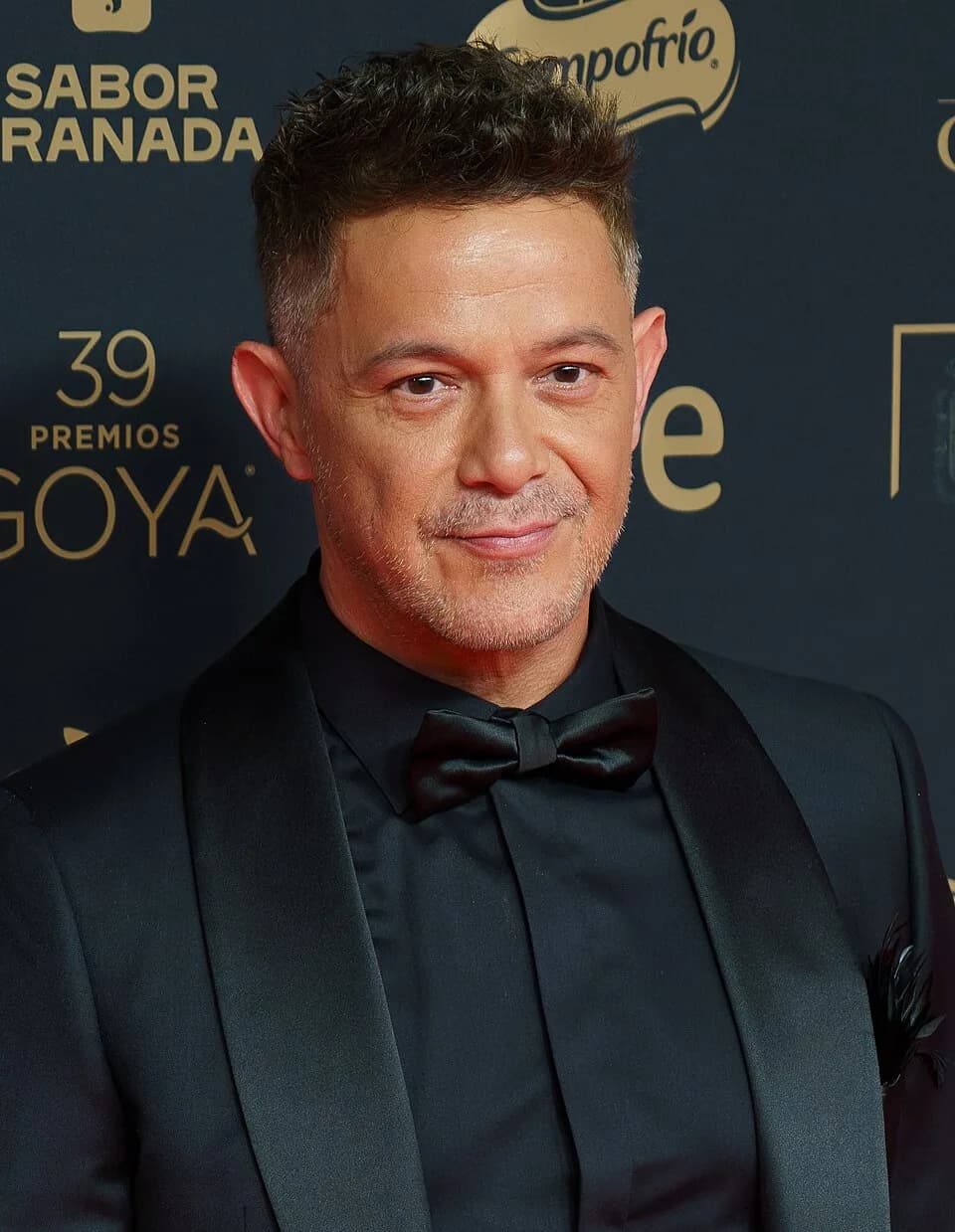 #5 Alejandro Sanz — Top 10 Spanish Musicians and Bands