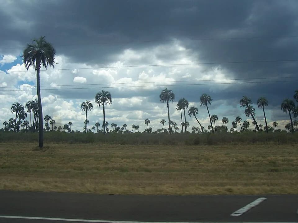 #7 El Palmar National Park — Top 10 National Parks in Argentina