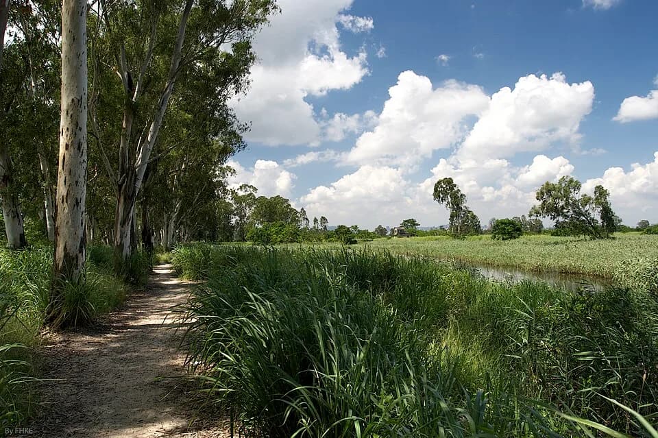 #9 Nam Sang Wai (Wetland Walk) — Top 15 Best Family Day Trips From Hong Kong 2026