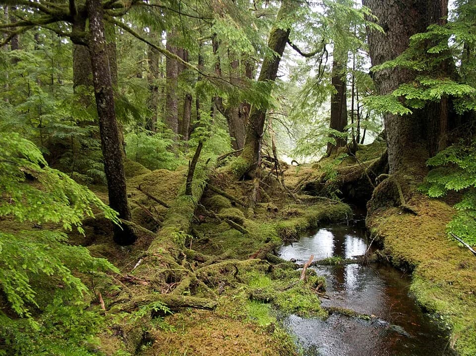 #5 Gwaii Haanas National Park Reserve — Top 10 National Parks in Canada