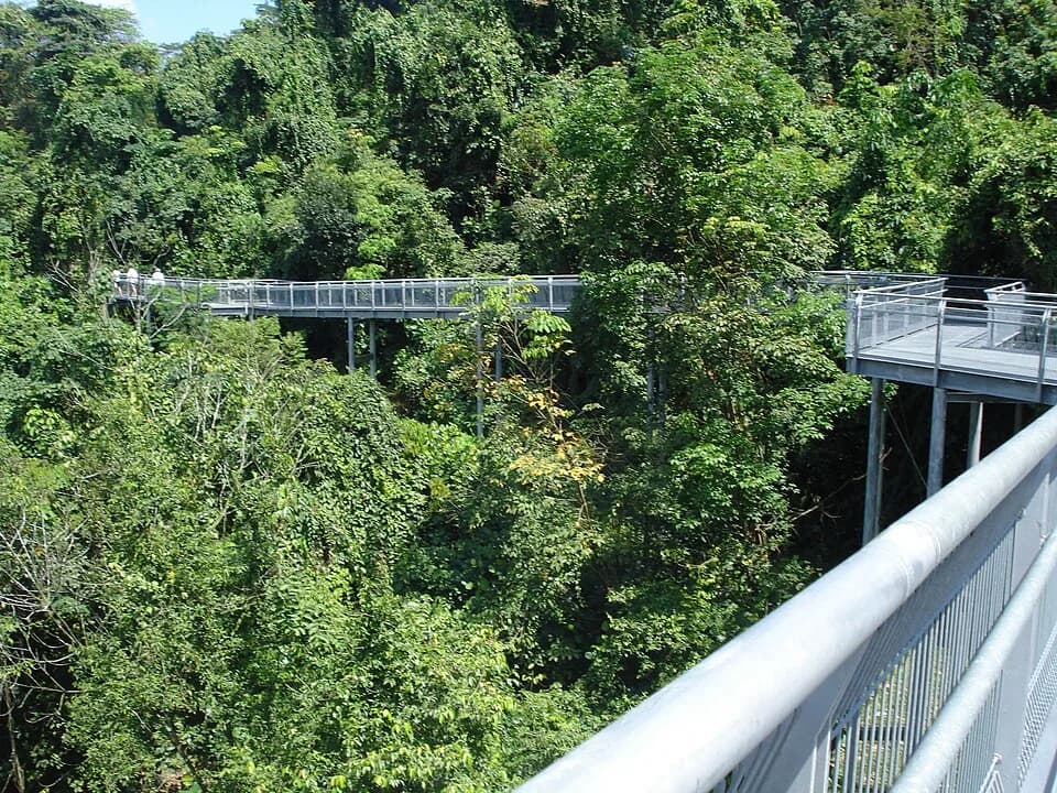 #6 Southern Ridges — Top 10 Parks and Gardens in Singapore 2026