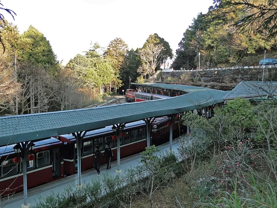 #1 Alishan Forest Railway — Top 10 Railway Journeys in Taiwan in 2026