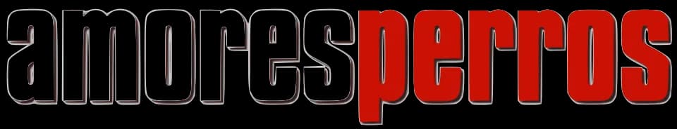 #2 Amores Perros (2000) — Top 10 Mexican Films of All Time