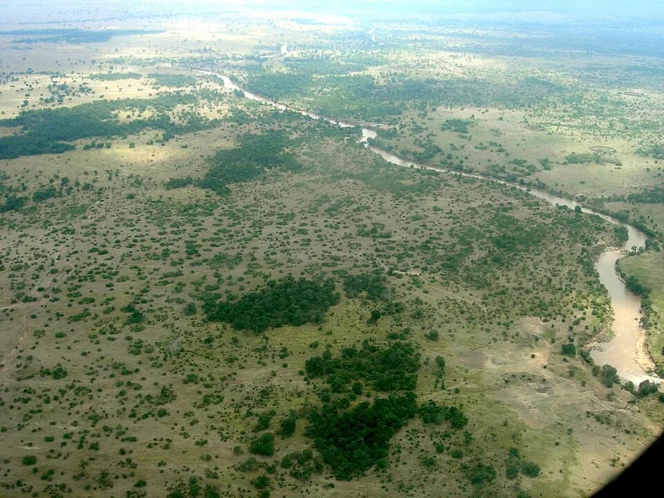 #2 Masai Mara National Reserve, Kenya — Top 10 Best Wildlife Safari Destinations