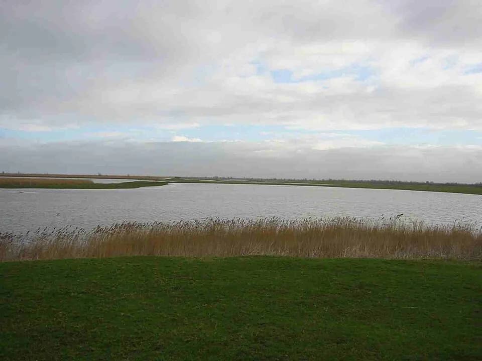 #4 Oostvaardersplassen — Top 10 Must-Visit Nature Reserves in the Netherlands for 2026