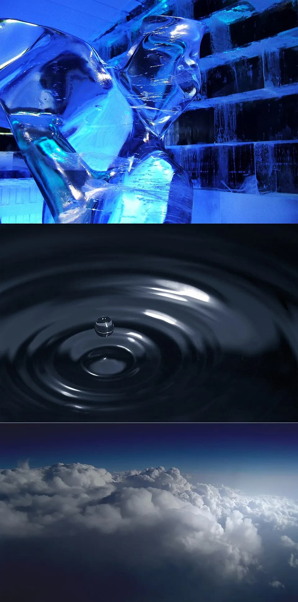 #9 Water (Oceans, Floods, Drowning) — Top 10 Most Common Dreams and What They Mean