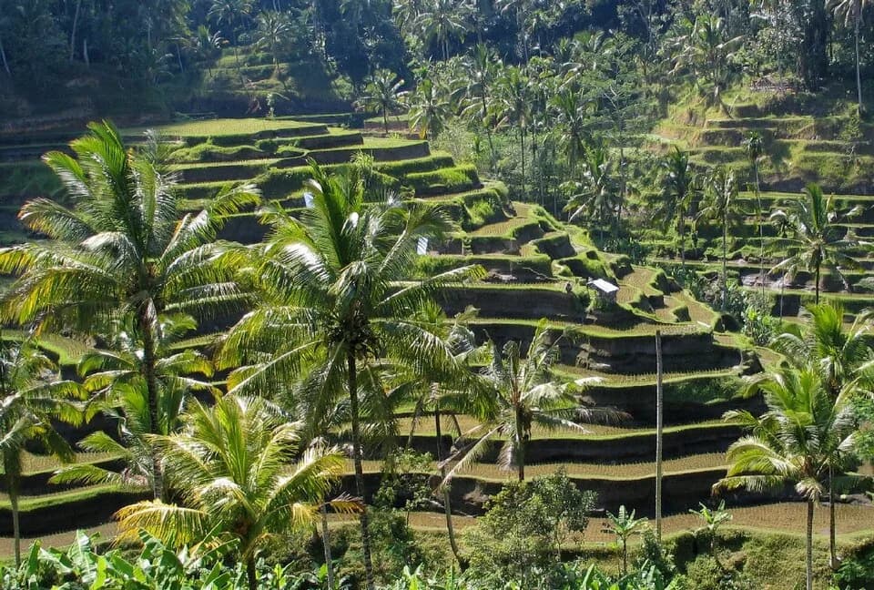 #1 Bali — Top 10 Indonesia Destinations in 2026