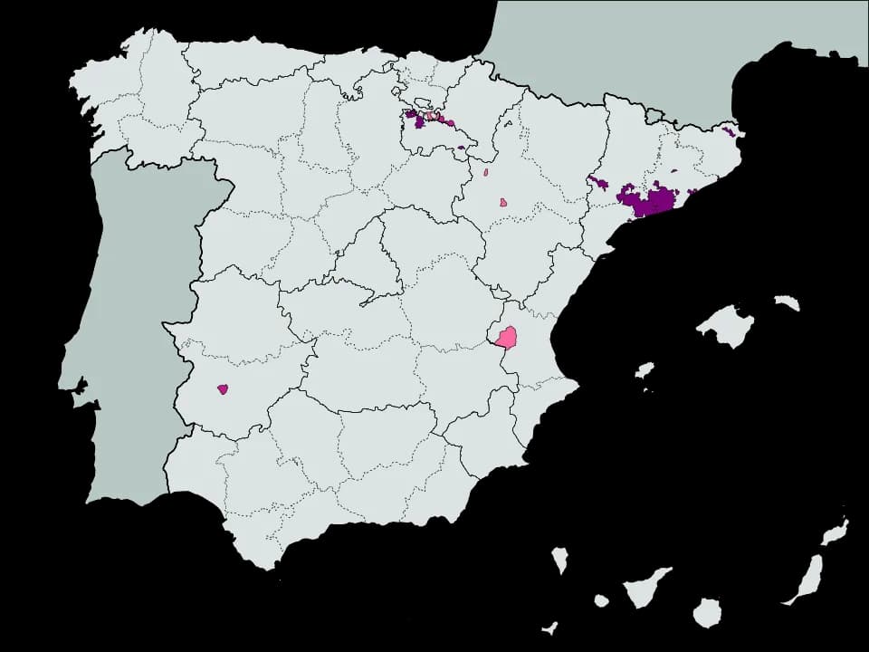 #6 Cava — Top 10 Spanish Wines and Wine Regions