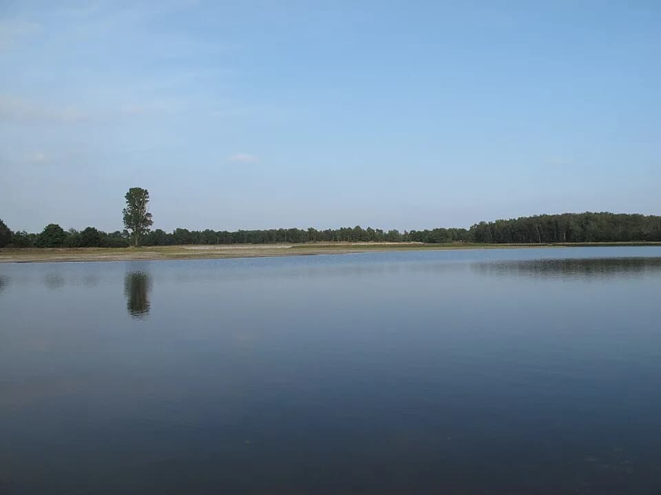 #8 De Maasduinen National Park — Top 10 Must-Visit Nature Reserves in the Netherlands for 2026
