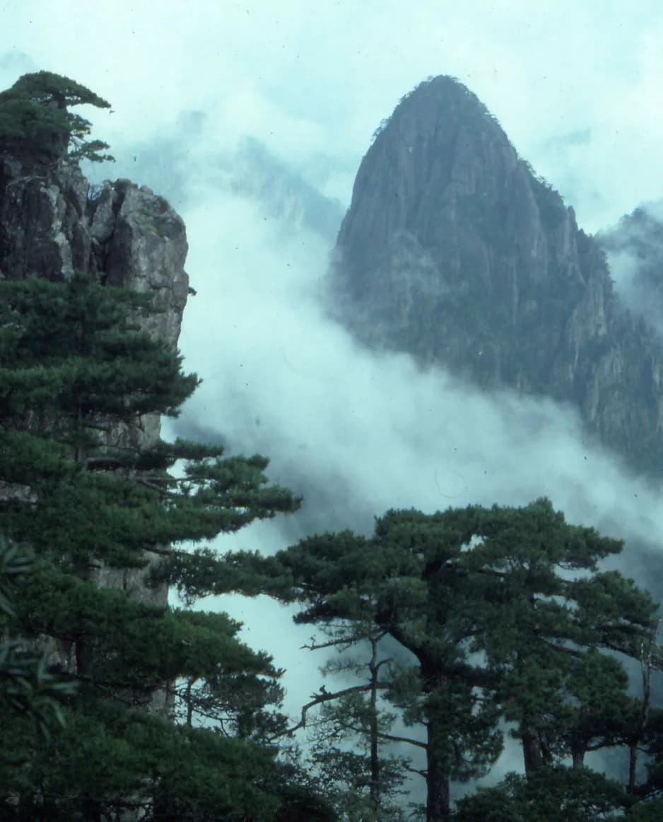 #6 Mount Huangshan (Yellow Mountain) — Discover China's Top 10 UNESCO World Heritage Sites: Ancient Wonders & Natural Beauty
