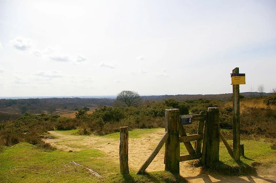 #10 Veluwezoom National Park — Top 10 Must-Visit Nature Reserves in the Netherlands for 2026