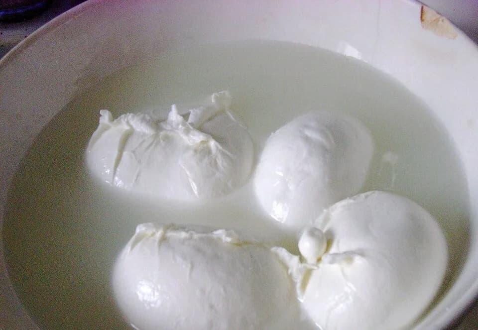 #2 Mozzarella di Bufala Campana — Top 10 Italian Cheeses in 2026