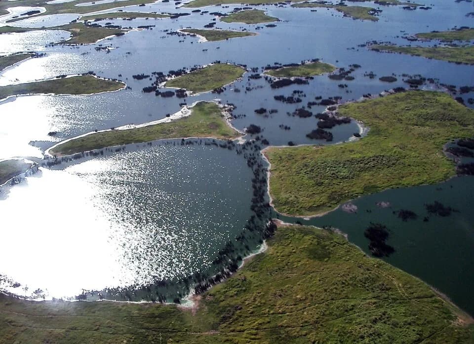 #8 Pantanal, Brazil — Top 10 Best Wildlife Safari Destinations