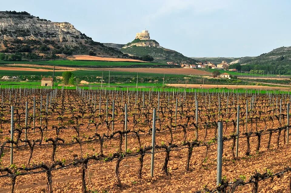 #2 Ribera del Duero — Top 10 Spanish Wines and Wine Regions