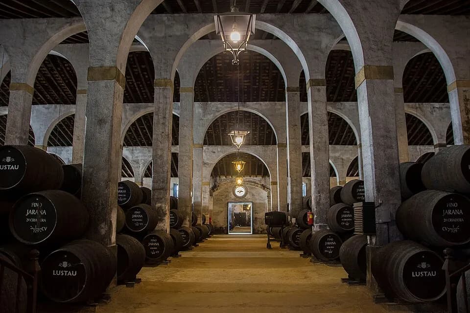 #6 Sherry (Fino) — Top 10 Spanish Wines to Try in 2026