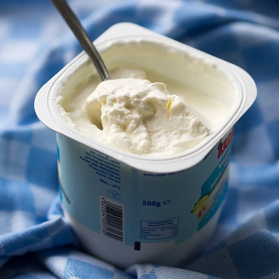 #2 Greek Yogurt (Plain, Nonfat) — Top 10 High-Protein Snacks of 2026