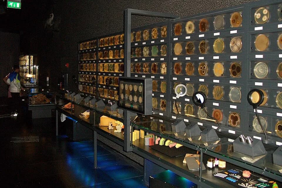 #9 Micropia — Top 10 Museums in the Netherlands in 2026