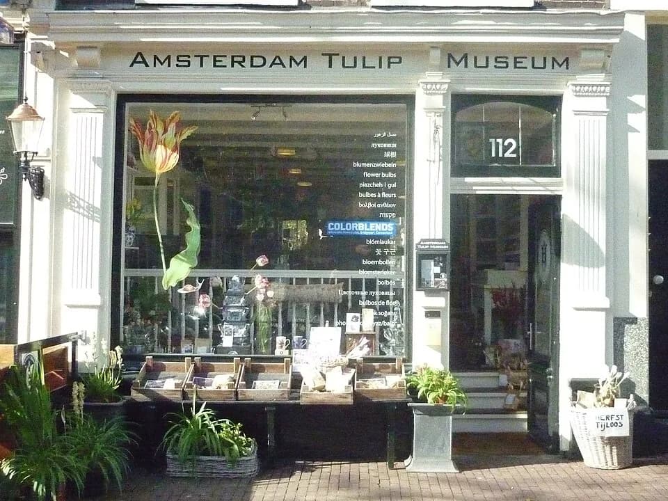 #5 Amsterdam Tulip Museum — Top 10 Tulip & Flower Experiences in the Netherlands 2026