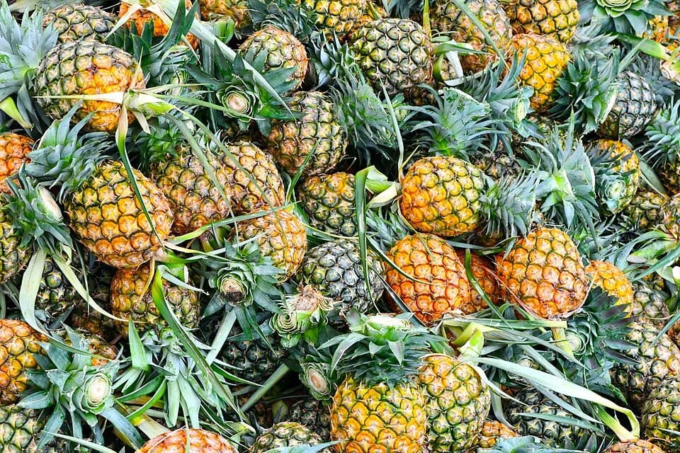 #10 Pineapple — Top 10 Best Pizza Toppings According to the World