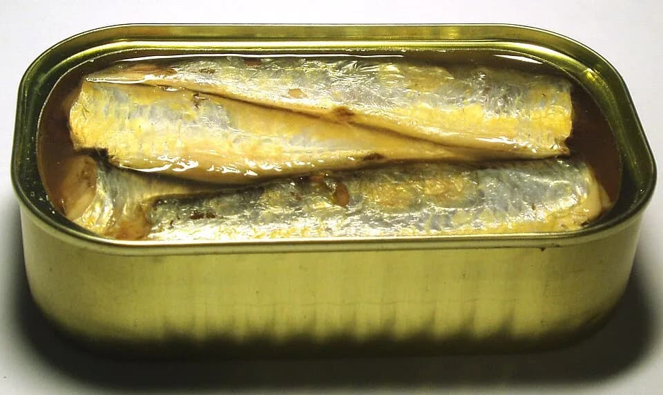 #8 Sardines — Top 10 Best Protein Sources Ranked