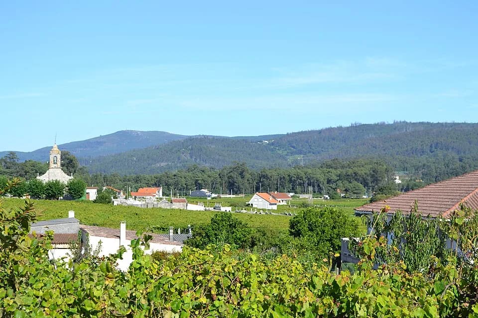 #4 Rias Baixas — Top 10 Spanish Wines and Wine Regions