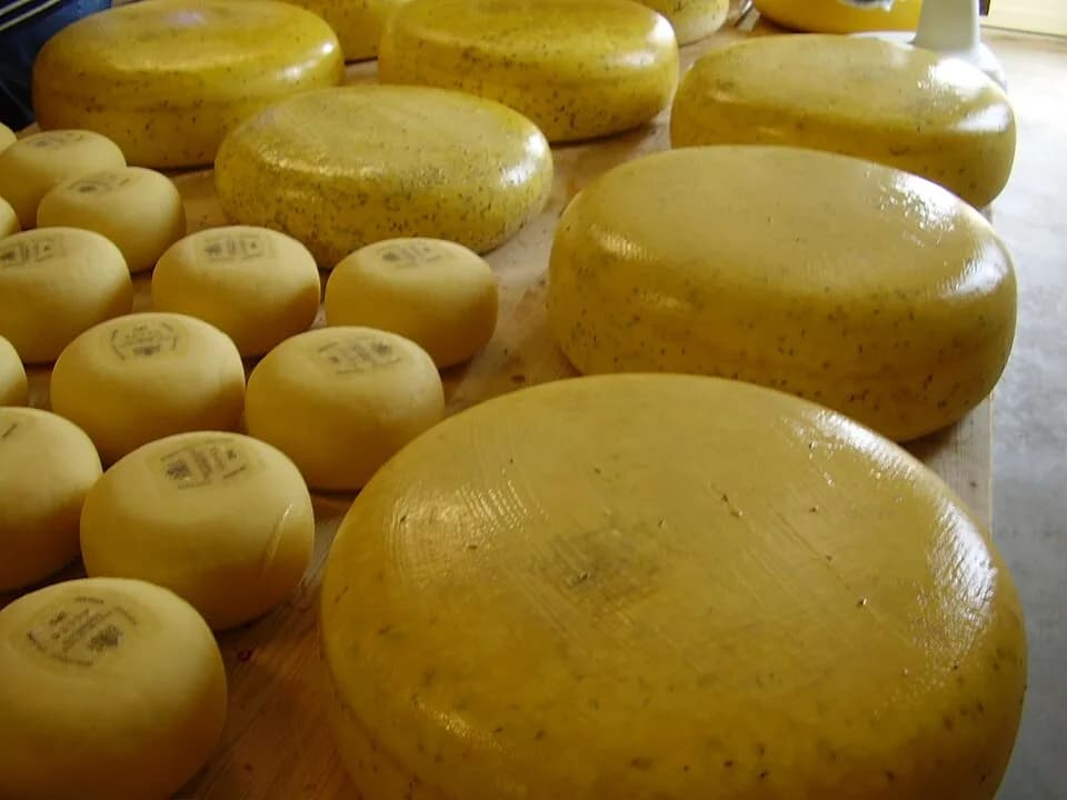 #1 Gouda (Aged) — Top 10 Dutch Cheeses to Try in 2026