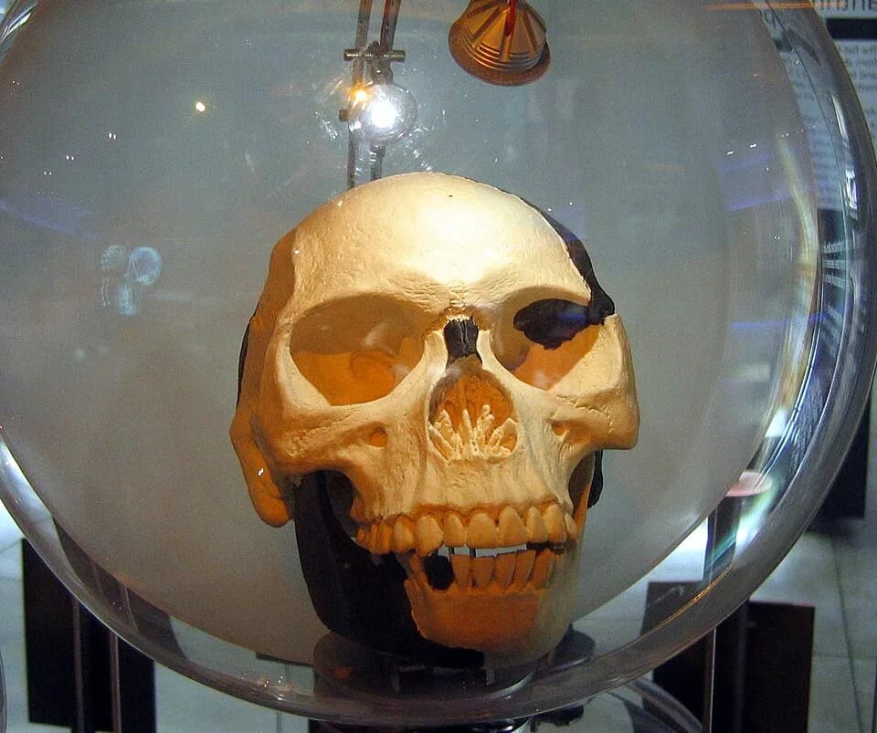 #4 Piltdown Man — Top 10 Worst Scientific Frauds