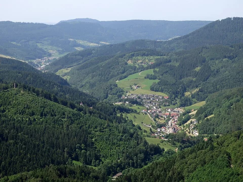 #3 Black Forest, Germany — Top 10 Most Beautiful Forests in the World to Visit in 2026