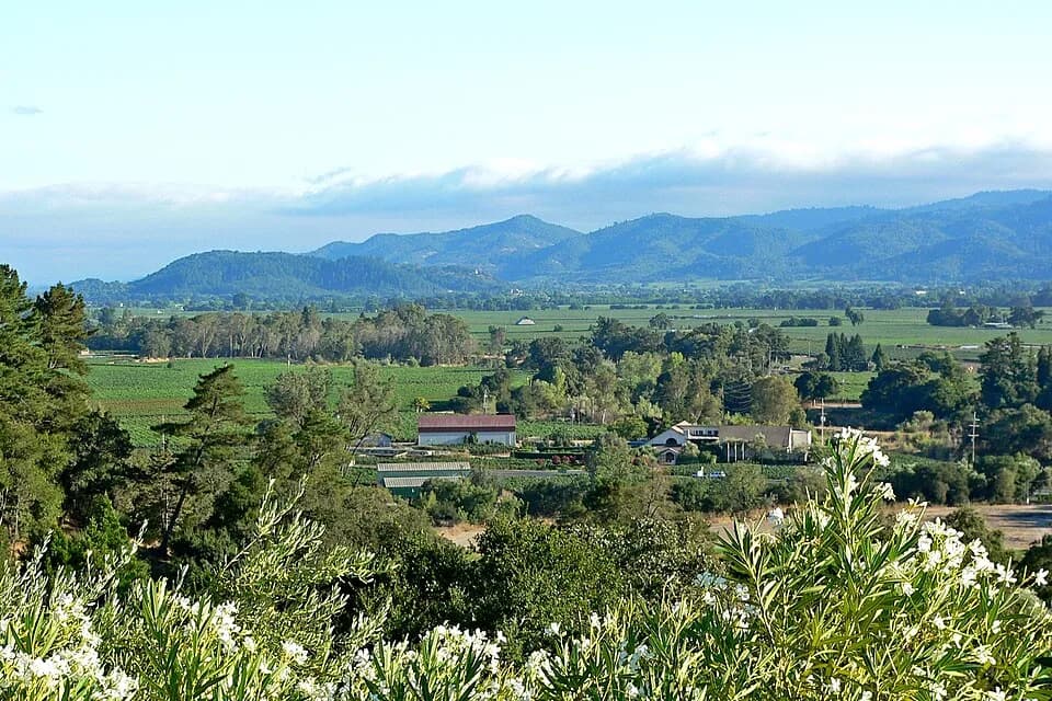 #3 Napa Valley, USA — Top 10 Wine Regions in the World: Ranked by Terroir, History & Prestige