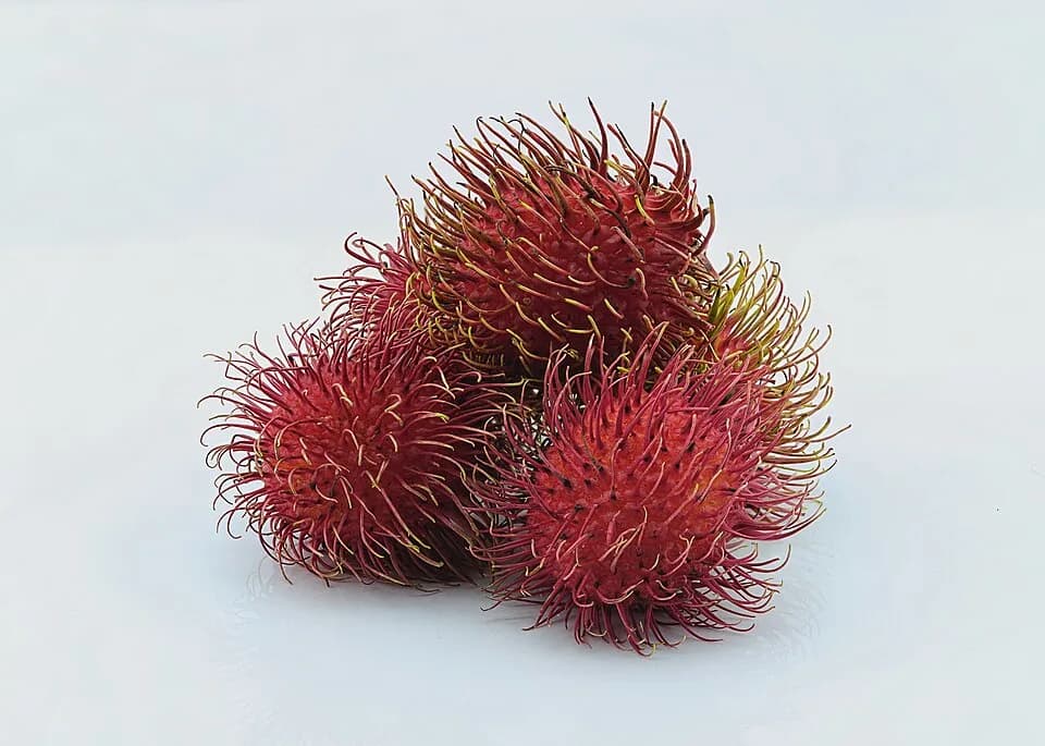 #4 Rambutan — Top 10 Thai Fruits You Must Try in 2026
