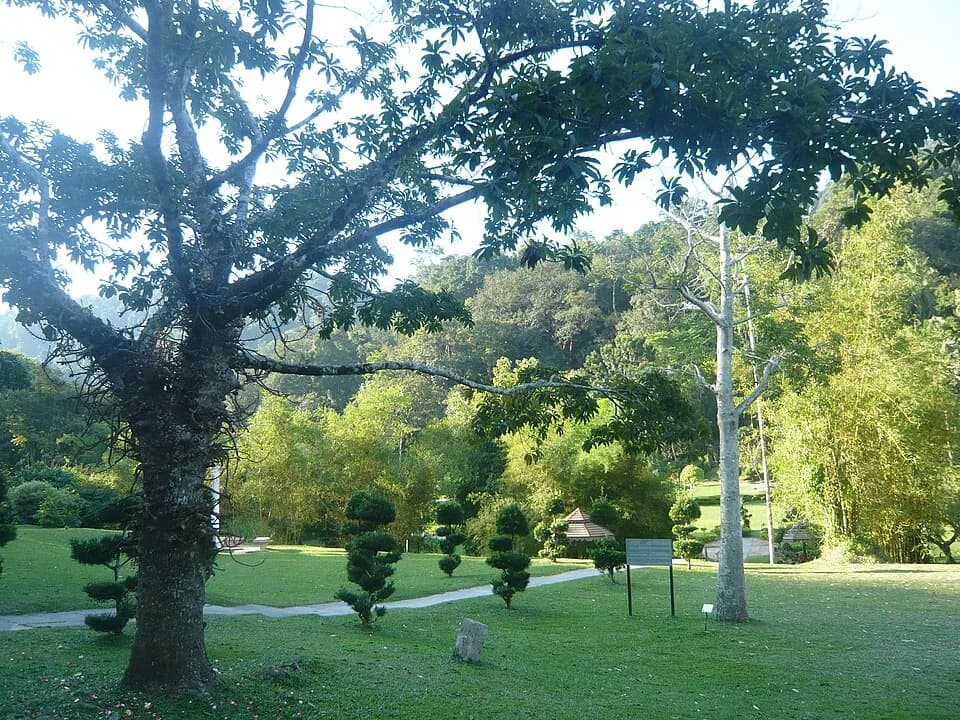 #9 Penang Botanic Gardens — Top 10 Things to Do in Penang in 2026