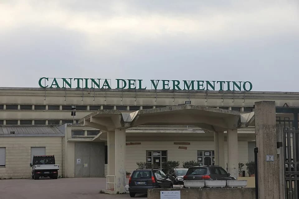 #9 Vermentino di Gallura — Top 10 Italian Wines in 2026