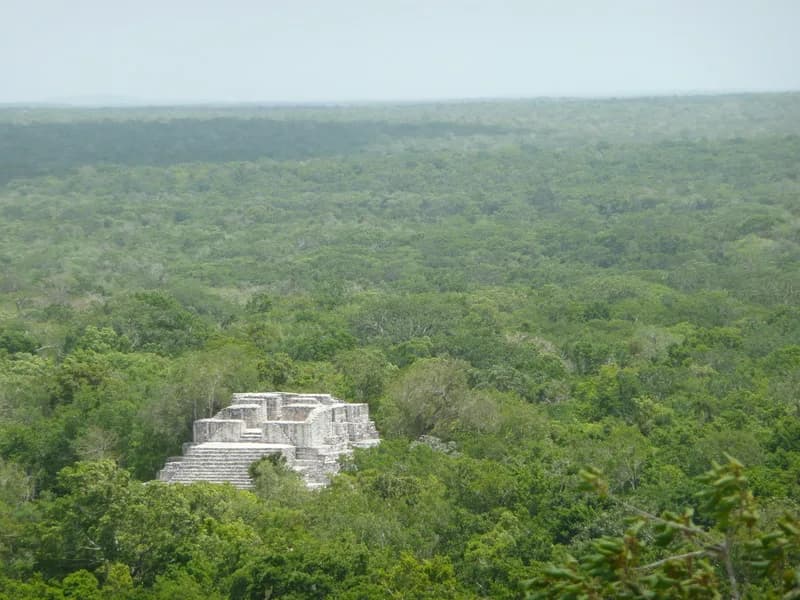 #3 Calakmul Biosphere Reserve — Top 10 Mexican Biodiversity Hotspots