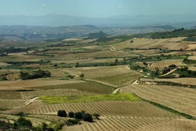 #6 Rioja, Spain — Top 10 Wine Regions in the World: Ranked by Terroir, History & Prestige