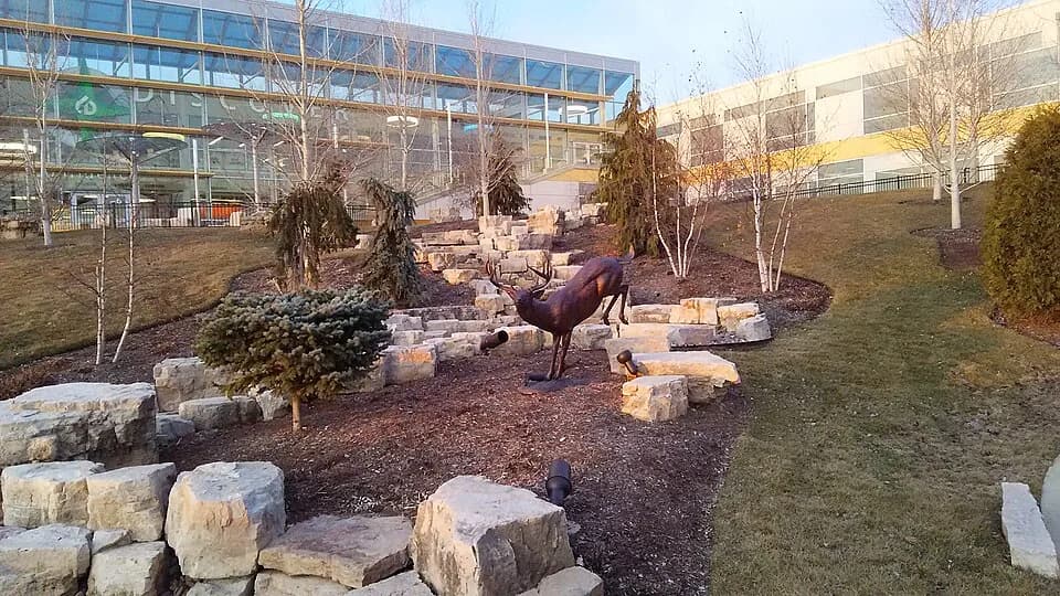 #6 College of DuPage (Illinois) — Top 10 Best Community Colleges in America (2026 Rankings): Transfer, Cost & Career Outcomes