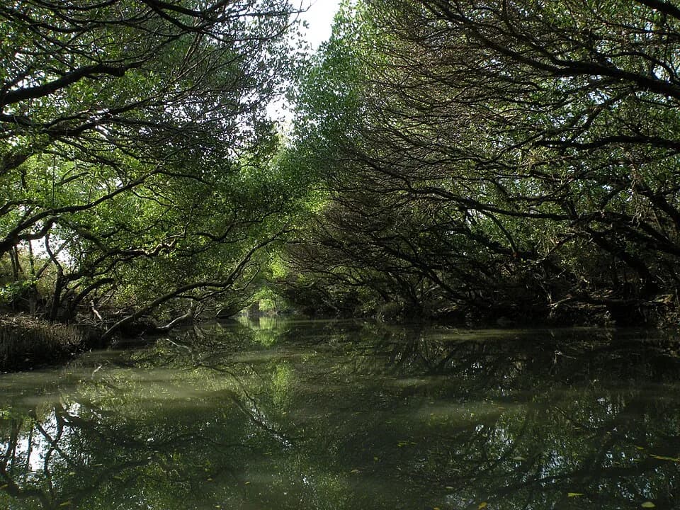 #6 Taijiang National Park — Taiwan's 10 Most Stunning National Parks & Nature Areas to Visit in 2026