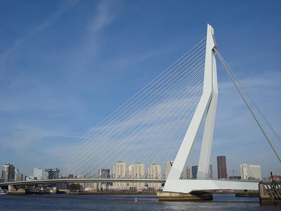 #3 Erasmus Bridge — Top 10 Things to Do in Rotterdam in 2026