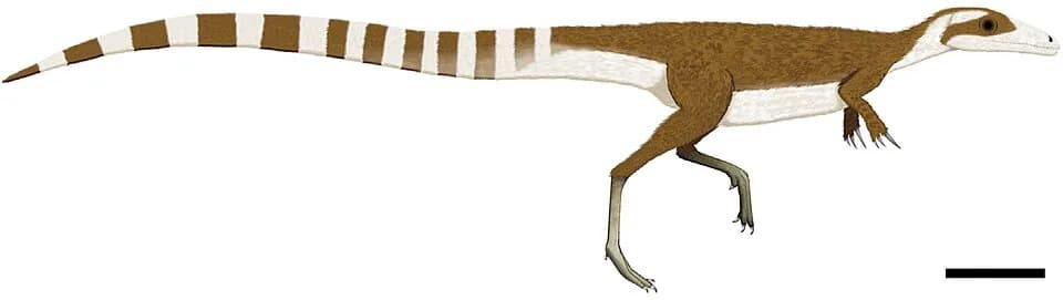#4 Sinosauropteryx (1996) — Top 10 Best Dinosaur Discoveries