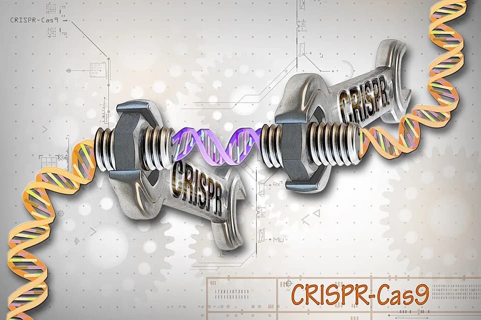 #1 CRISPR Gene Editing — Top 10 Science Experiments That Sound Like Science Fiction